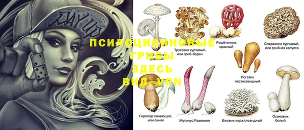скорость Абаза