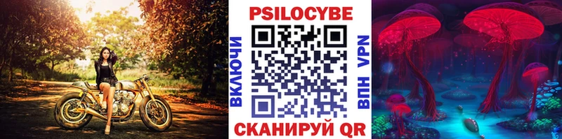 Псилоцибиновые грибы Psilocybine cubensis  купить закладку  Ярославль 
