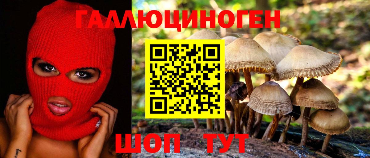 Псилоцибиновые грибы Cubensis  Псилоцибиновые грибы Psilocybine cubensis  продажа наркотиков  Ярославль  Вход с VPN 